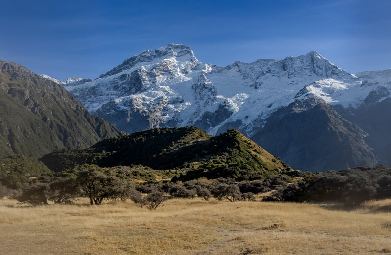 Snow-capped mountains rise above a grassy field with trees