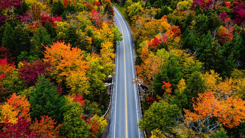 Aerial view of a road through a colorful autumn forest
