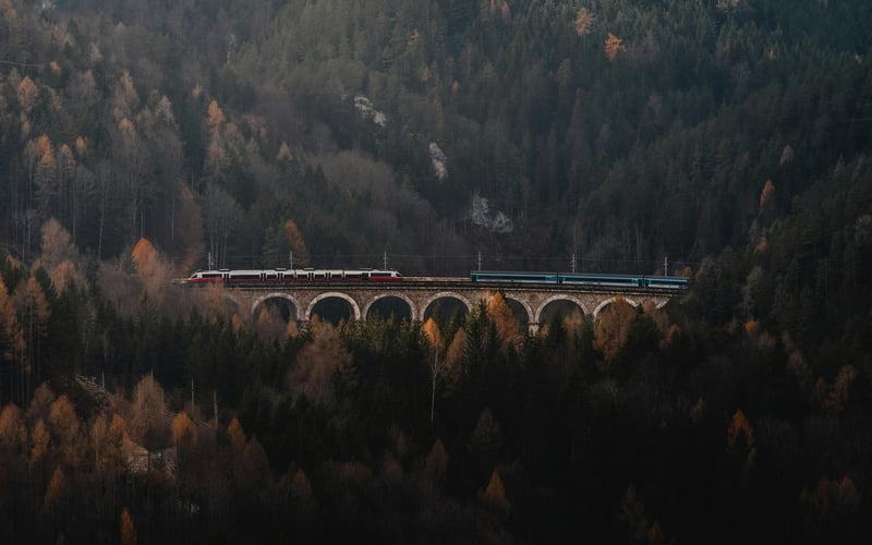 Train crossing a stone bridge in a dense forest