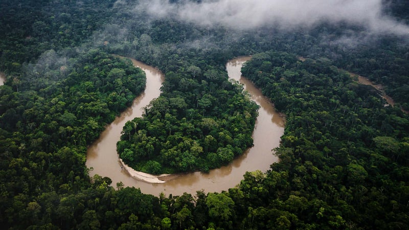 Amazon rainforest river winding through dense green trees