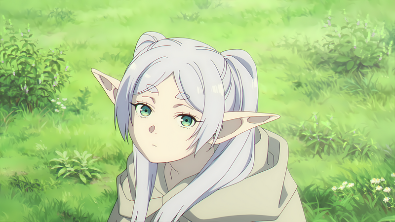 Frieren from Sousou No Frieren in a grassy field
