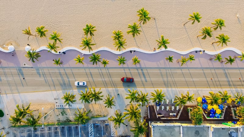 Cars on a road next to a beach with palm trees