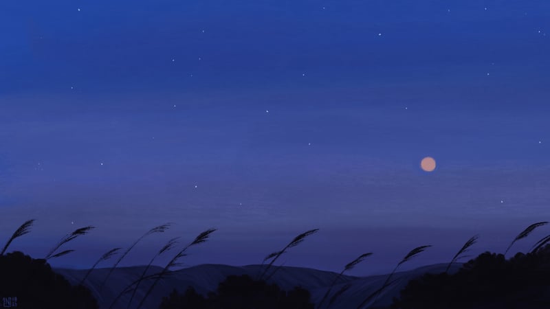 Night sky with moon, stars, and reeds