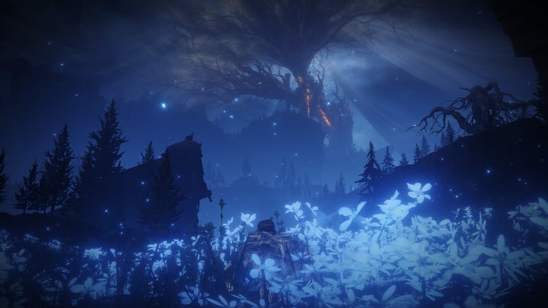 Elden Ring character in a field of glowing flowers