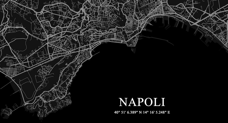 Naples City Map Monochrome Minimalist Design
