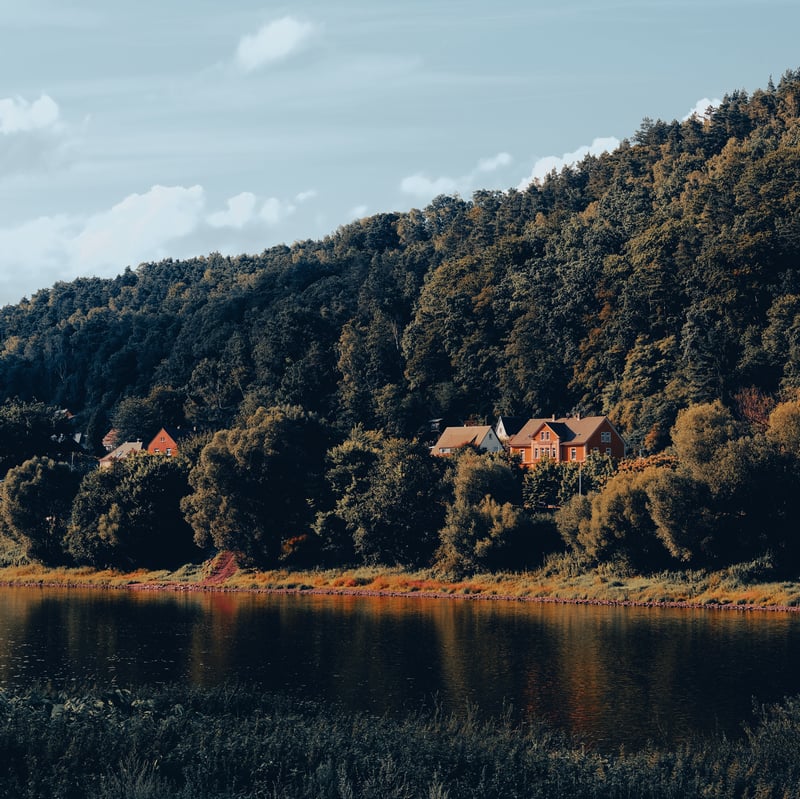Houses on a forested hill overlooking a lake