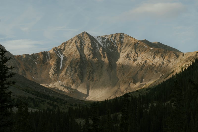 Sunlit Mountain Peaks Above a Pine Forest