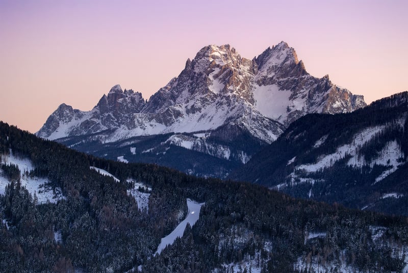 Snow-covered mountains and pine forest at sunset