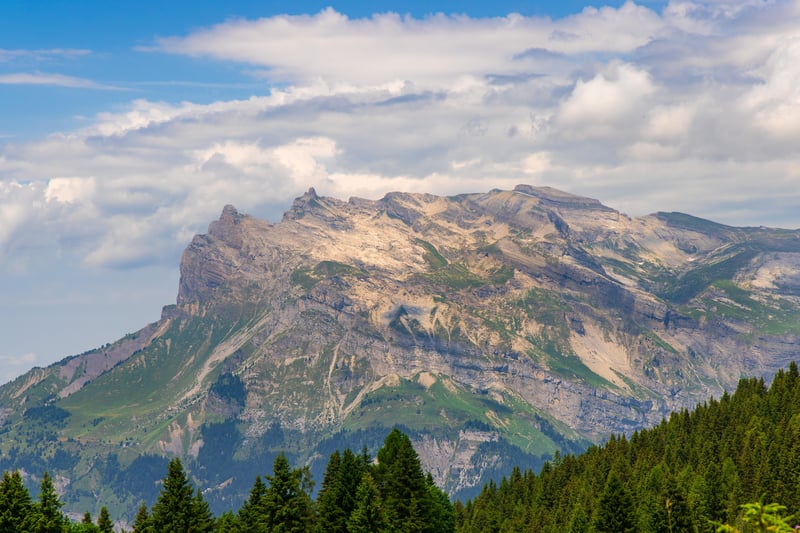 Rocky mountain range with pine trees and clouds