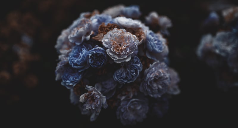 Close-up of a bouquet of blue and brown roses
