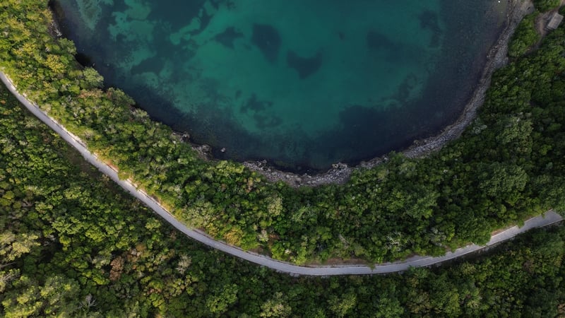 Aerial view of a winding road through a forest next to a bay