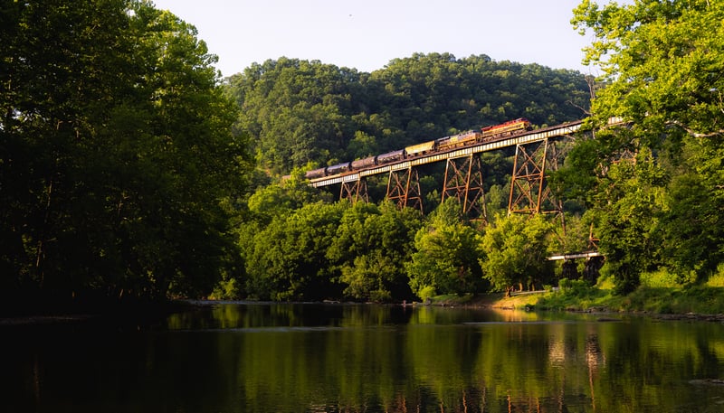 Train crossing a railway bridge over a river surrounded by trees