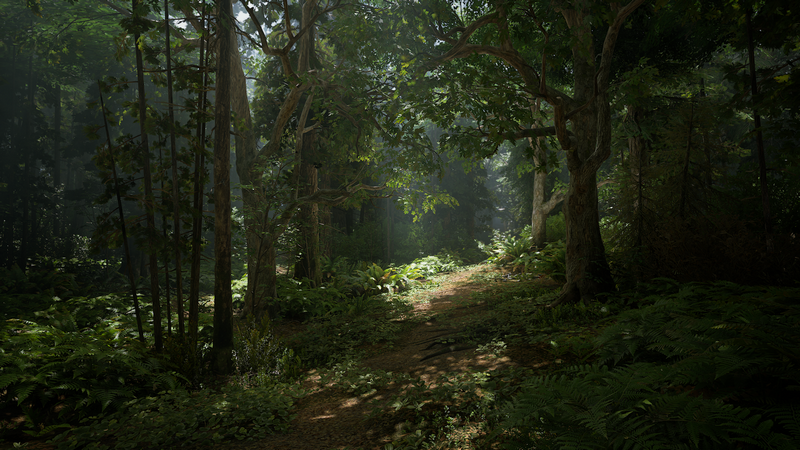 The Last of Us 2 forest path with sunlight