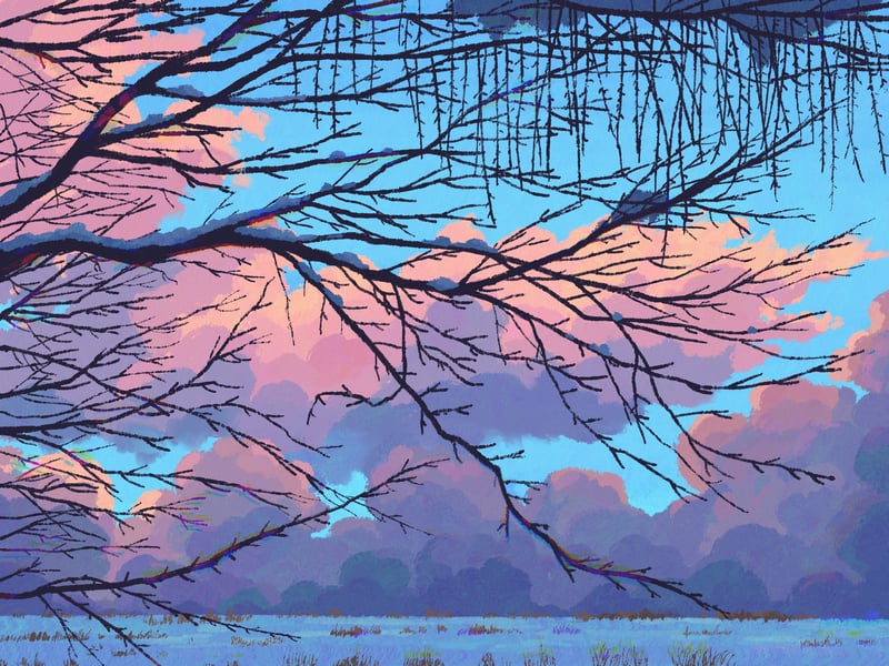Scenery of bare branches against a sunset sky with clouds