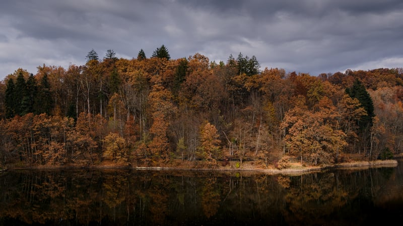 Autumn forest reflected in still water under cloudy sky
