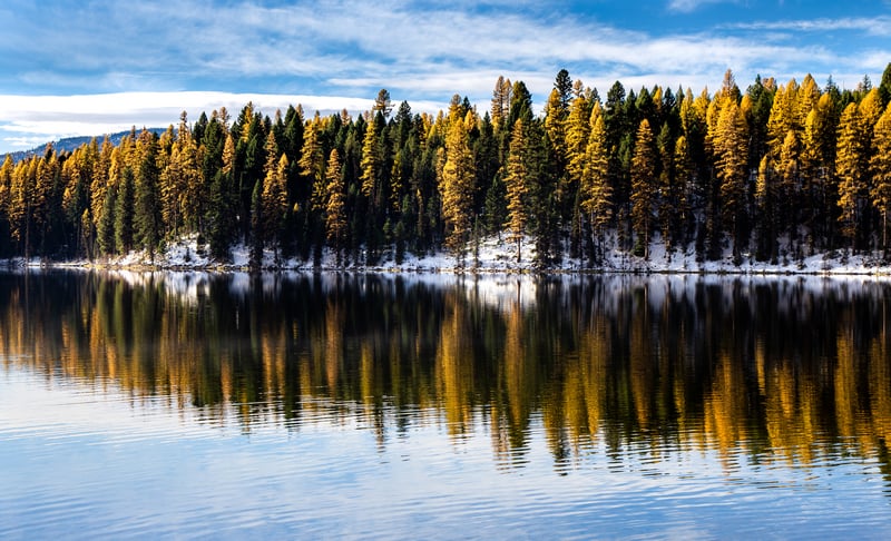 Autumn trees reflected in a calm lake with snow