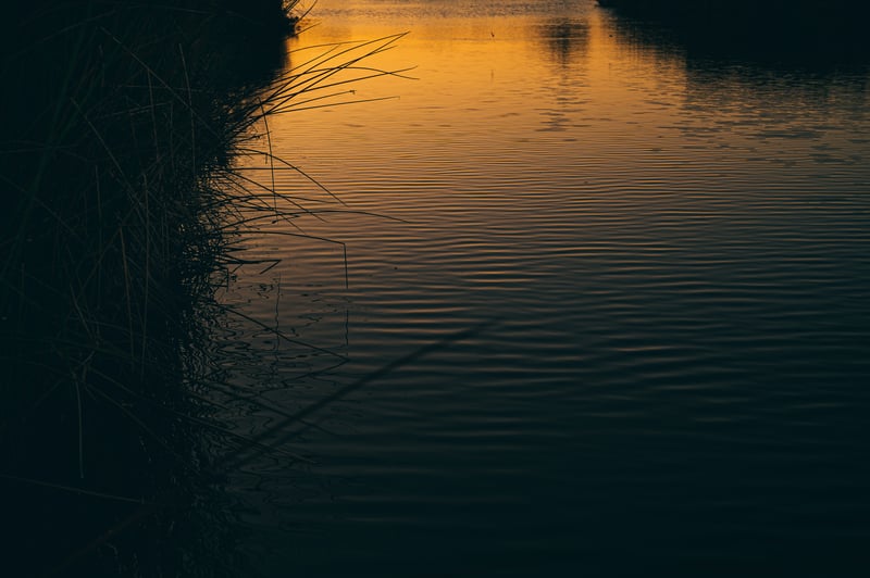 Sunset over a calm lake with reeds