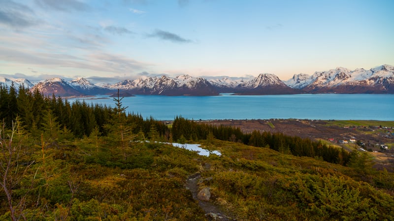 Snow-capped mountains over a blue fjord with trees in foreground