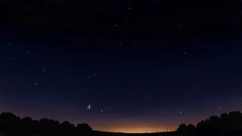 Night sky with crescent moon and stars over trees
