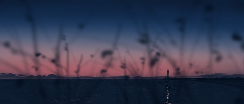 Lighthouse at sunset with reeds in foreground
