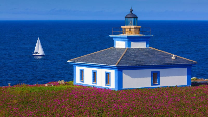 Lighthouse on a cliff overlooking the sea with flowers