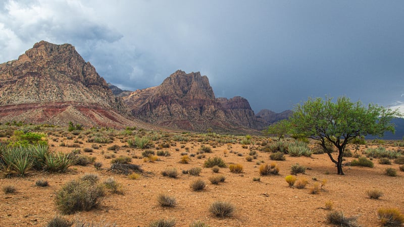 Desert landscape with mountains and approaching rain