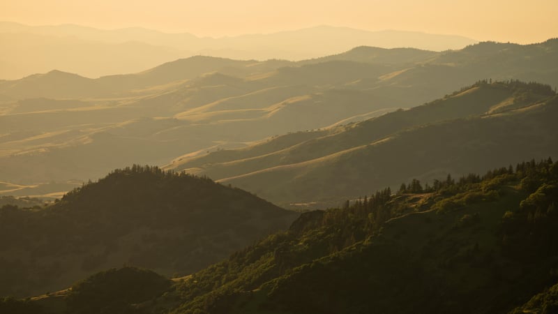 Rolling hills and forests at sunset in Oregon