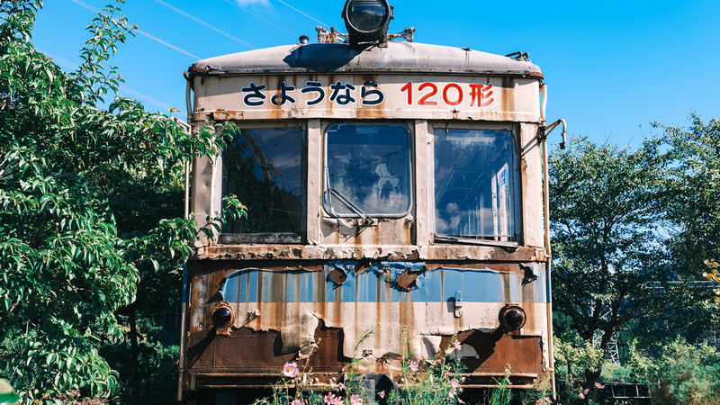 Abandoned Japanese train with flowers and plants