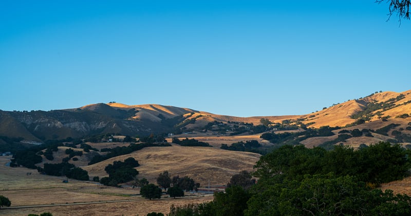 Golden Hills and Trees Under a Clear Blue Sky