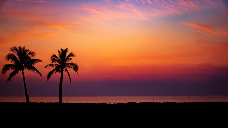 Tropical beach sunset with palm trees silhouette