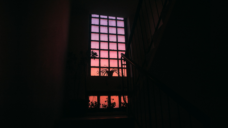 Sunset glow through a window with plants on stairs
