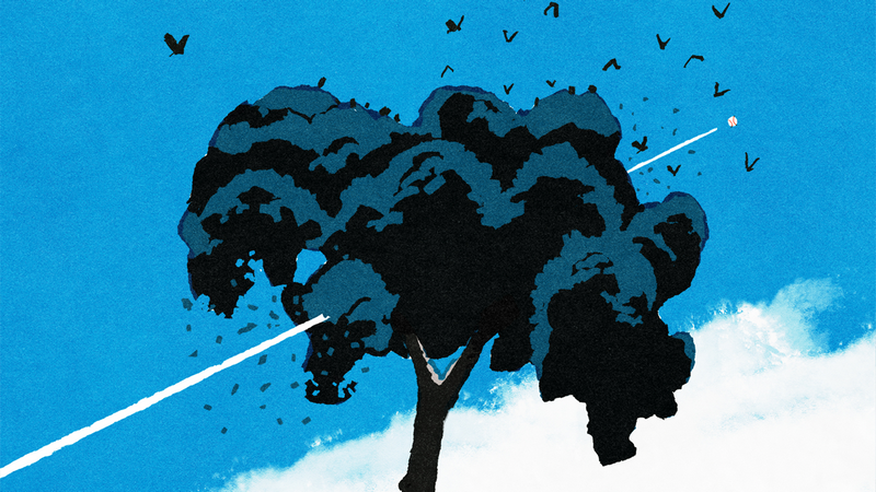 Tree with birds and light beams