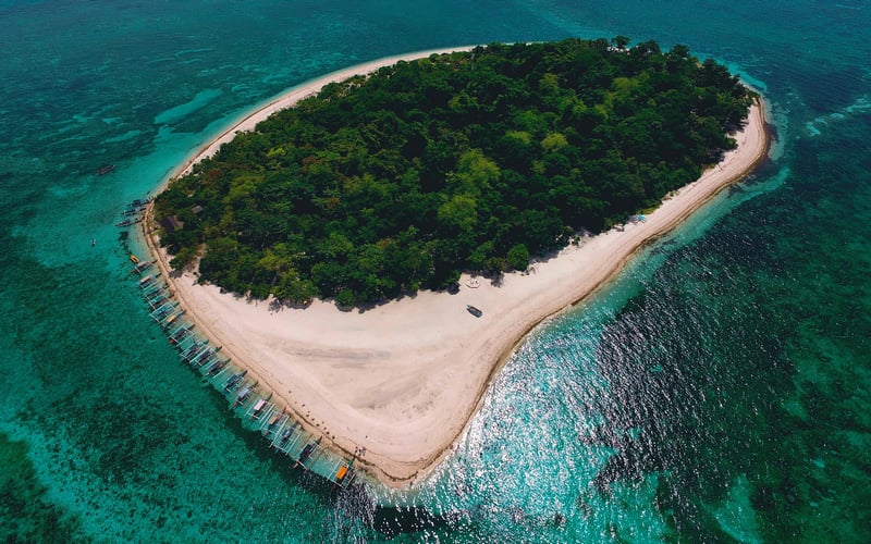 Boats docked around a tropical island with a forest and beach