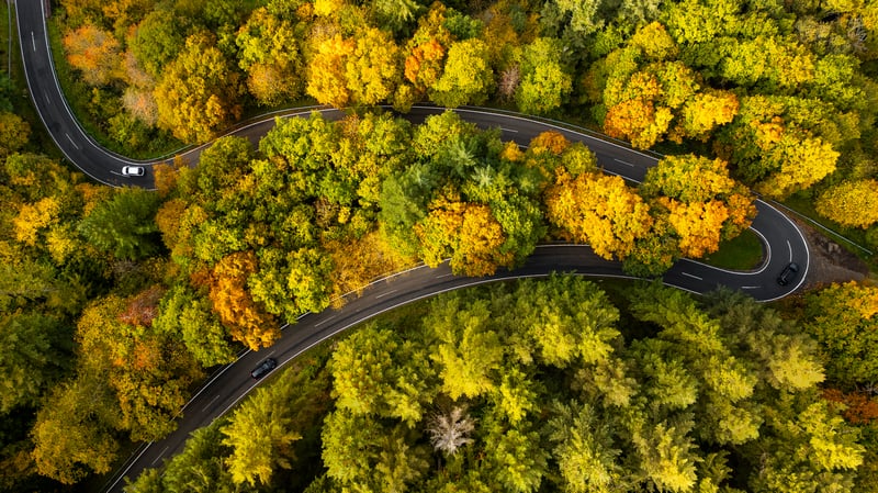 Cars on a winding road through an autumn forest