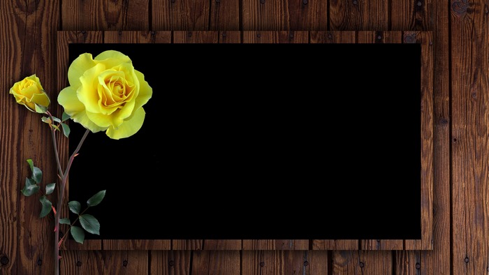 Yellow Roses on a Wooden Background