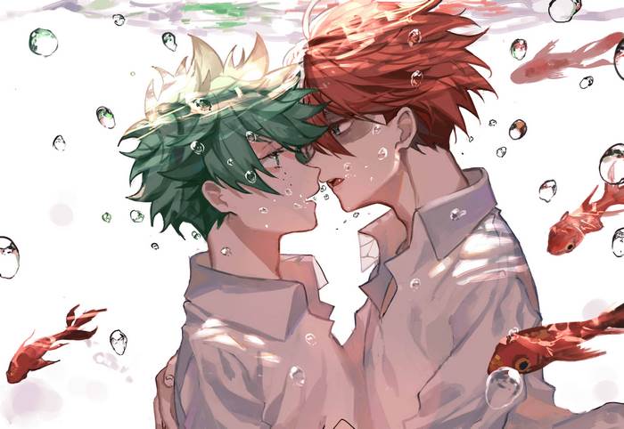 My Hero Academia Izuku Midoriya and Shoto Todoroki