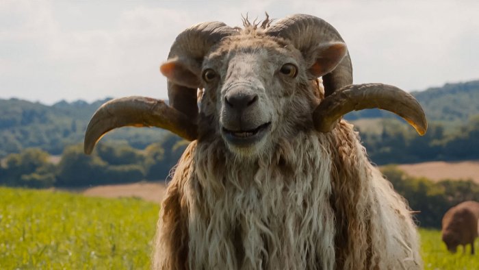 Four-horned ram in The Sheep Detectives