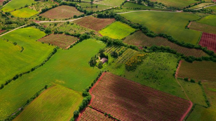 Aerial View of Agricultural Fields in France