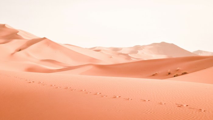 Footprints leading across orange sand dunes in a desert