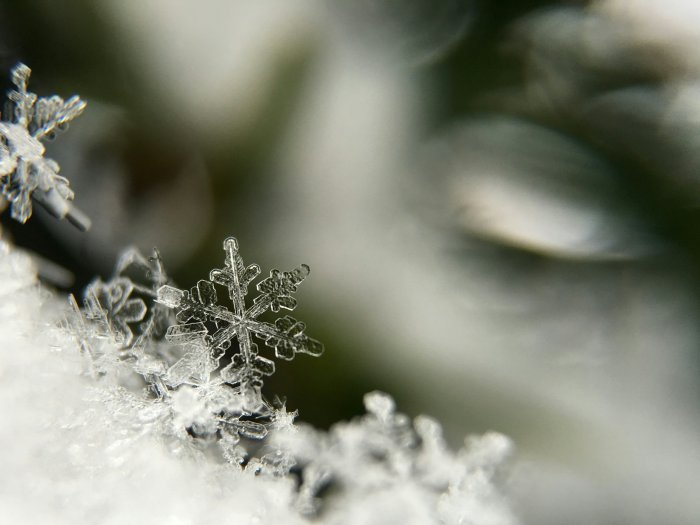 Macro photography of a detailed snowflake on snow