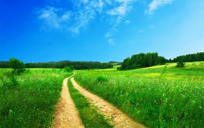 Dirt road winding through a green grass field