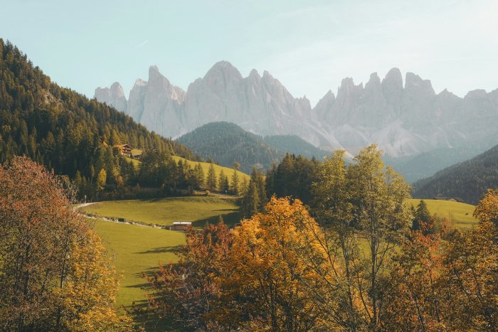 Jagged Dolomite Peaks Above Alpine Meadow
