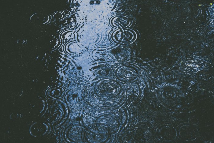 Raindrops creating ripples on a dark water surface