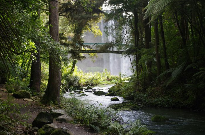 Footbridge over a forest stream with a waterfall