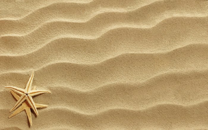 Two starfish on wavy beach sand