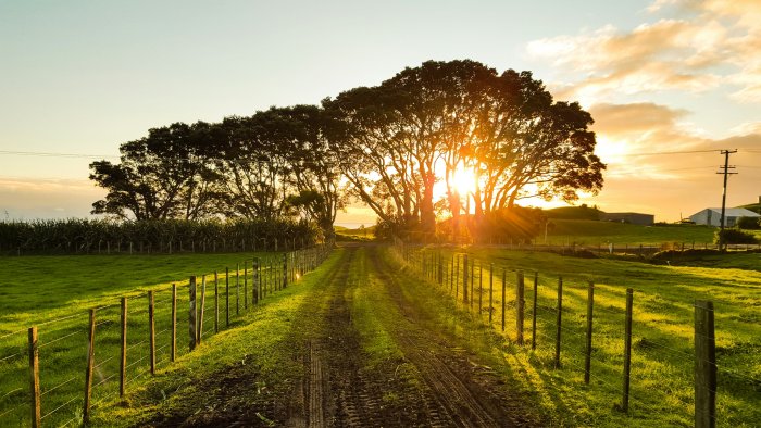 Country road between wooden fences at sunset