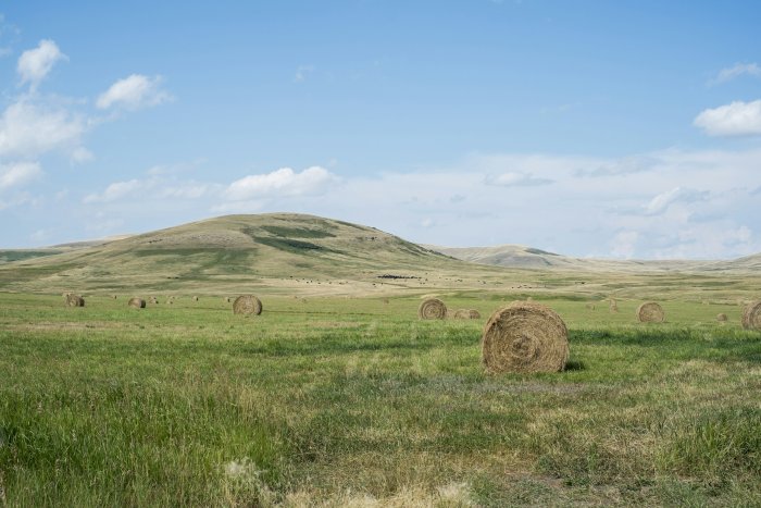 Round Hay Bales on a Grassy Field with Hills