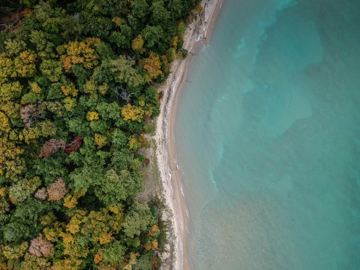 Aerial view of a forest shoreline and turquoise water