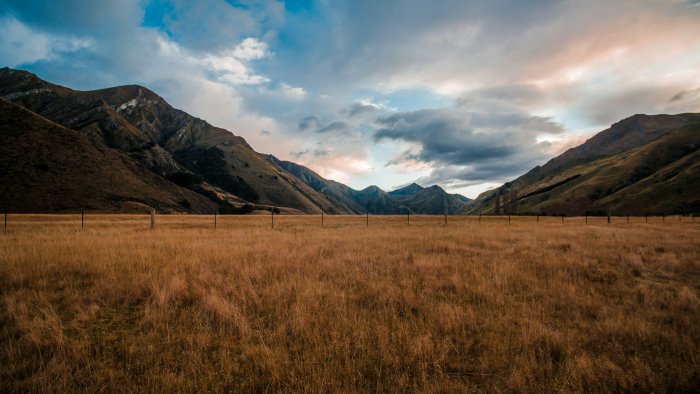 Golden grassland field and distant mountains under cloudy sky
