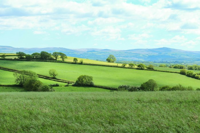Green rolling hills and fields in Devon landscape